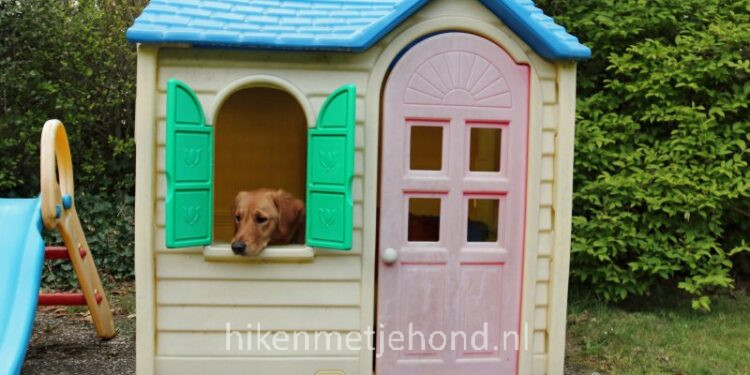Leuke overnachtingen in Drenthe: honden welkom!