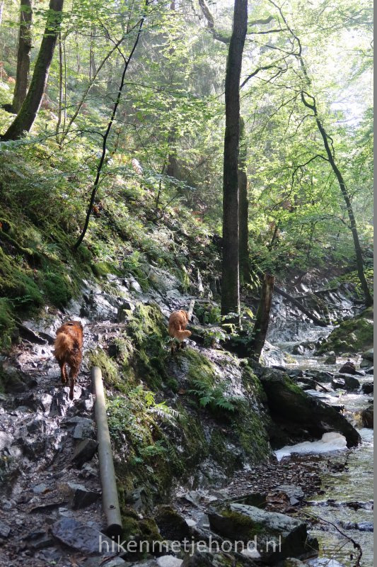 Klimmen en klauteren in de Ardennen