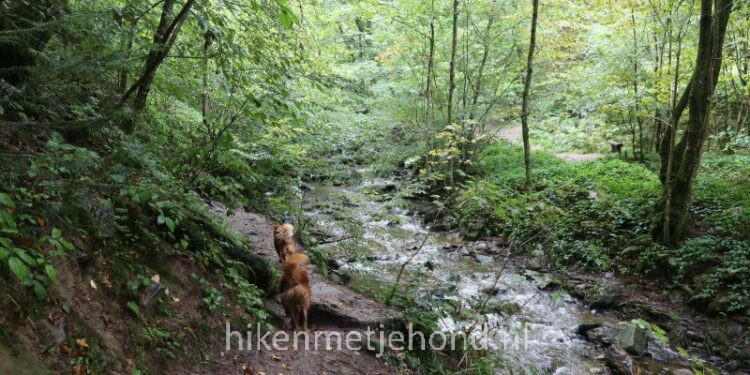 Wandelen in magische Vallei van de Ninglinspo