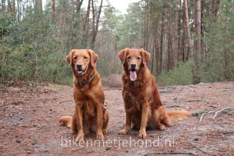 Losloopgebied Stroink