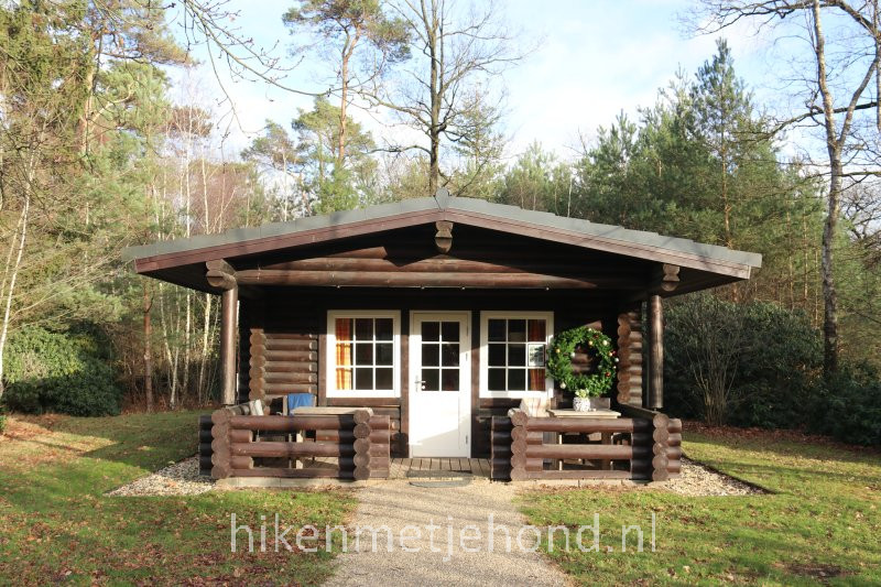 Sallandse Heuvelrug met hond overnachten