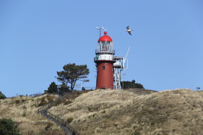 Hiken met je hond Vlieland