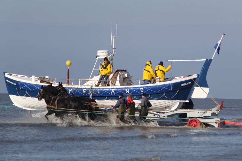 Reddingsboot Ameland Hiken met je hond