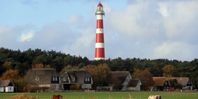 Met je hond naar waddeneiland Ameland