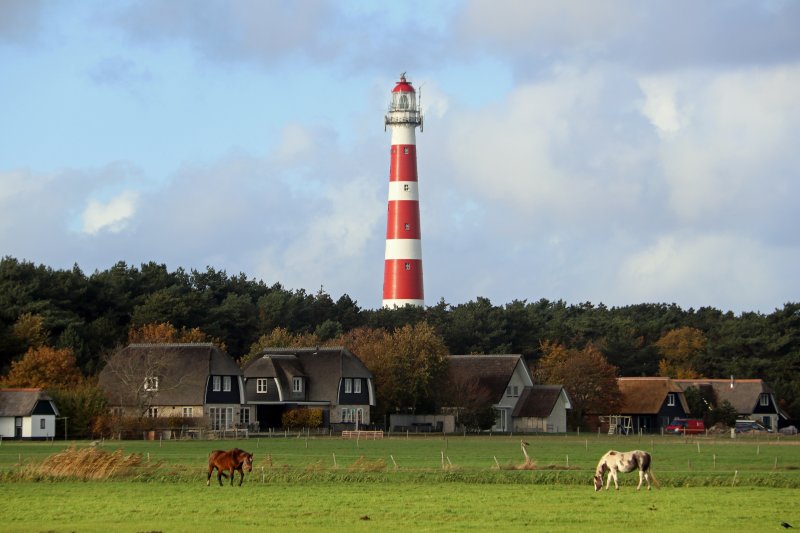 Met je hond naar waddeneiland Ameland