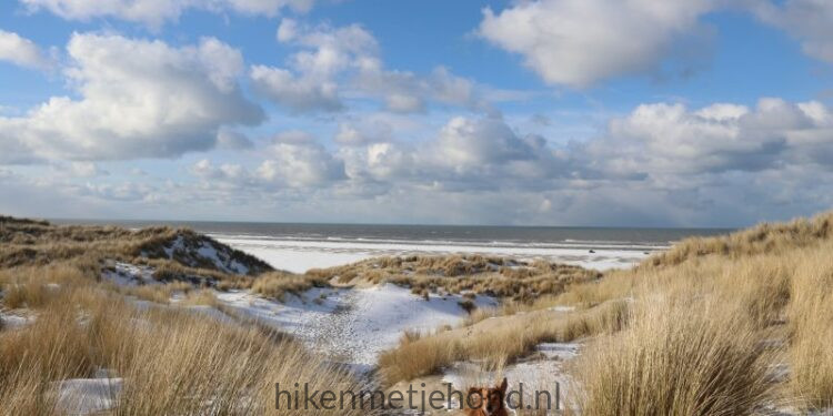 Met je hond naar Terschelling